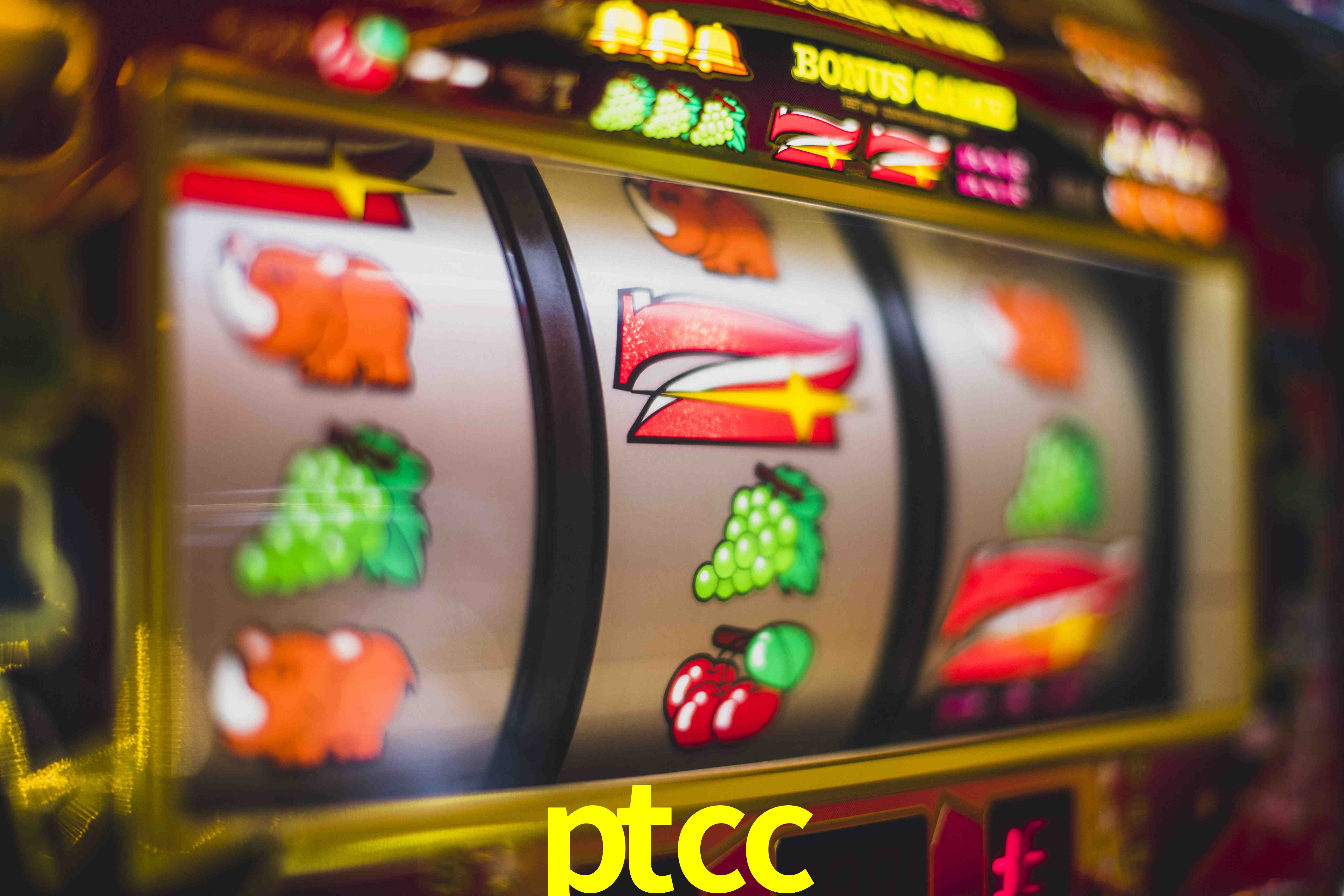 Football Betting ptcc